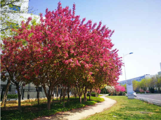 尊龙凯时·(中国区)人生就是搏!
